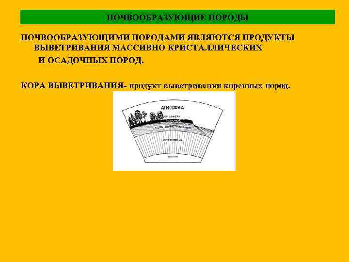 ПОЧВООБРАЗУЮЩИЕ ПОРОДЫ ПОЧВООБРАЗУЮЩИМИ ПОРОДАМИ ЯВЛЯЮТСЯ ПРОДУКТЫ ВЫВЕТРИВАНИЯ МАССИВНО КРИСТАЛЛИЧЕСКИХ И ОСАДОЧНЫХ ПОРОД. КОРА ВЫВЕТРИВАНИЯ-