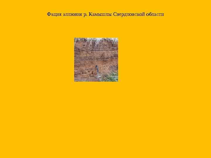 Фация аллювия р. Камышлы Свердловской области 