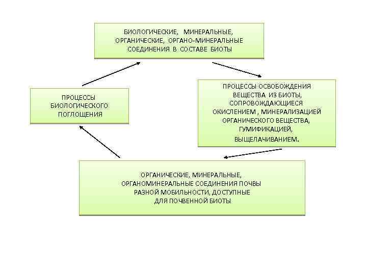 БИОЛОГИЧЕСКИЕ, МИНЕРАЛЬНЫЕ, ОРГАНИЧЕСКИЕ, ОРГАНО-МИНЕРАЛЬНЫЕ СОЕДИНЕНИЯ В СОСТАВЕ БИОТЫ ПРОЦЕССЫ БИОЛОГИЧЕСКОГО ПОГЛОЩЕНИЯ ПРОЦЕССЫ ОСВОБОЖДЕНИЯ ВЕЩЕСТВА
