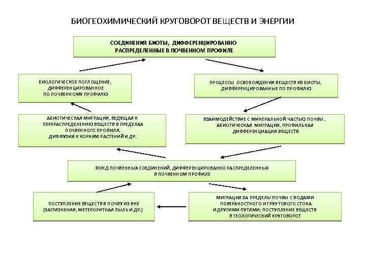 БИОГЕОХИМИЧЕСКИЙ КРУГОВОРОТ ВЕЩЕСТВ И ЭНЕРГИИ СОЕДИНЕНИЯ БИОТЫ, ДИФФЕРЕНЦИРОВАННО РАСПРЕДЕЛЕННЫЕ В ПОЧВЕННОМ ПРОФИЛЕ БИОЛОГИЧЕСКОЕ ПОГЛОЩЕНИЕ,