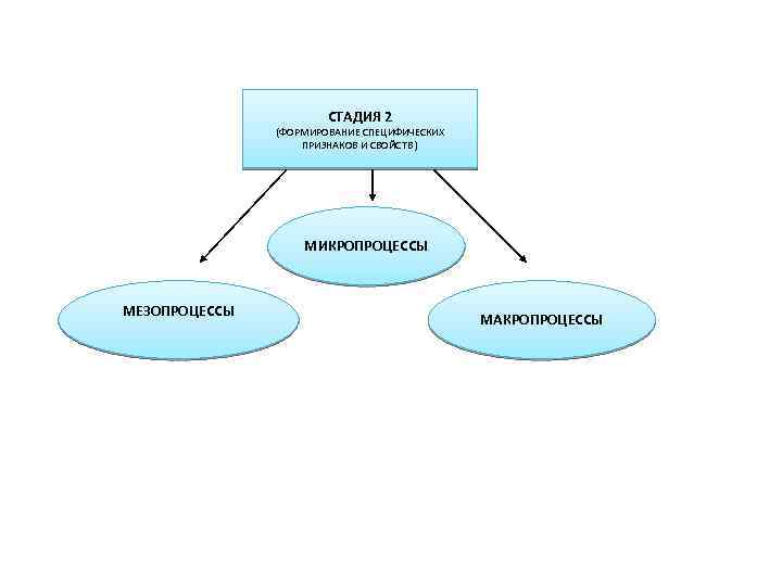 СТАДИЯ 2 (ФОРМИРОВАНИЕ СПЕЦИФИЧЕСКИХ ПРИЗНАКОВ И СВОЙСТВ ) МИКРОПРОЦЕССЫ МЕЗОПРОЦЕССЫ МАКРОПРОЦЕССЫ 