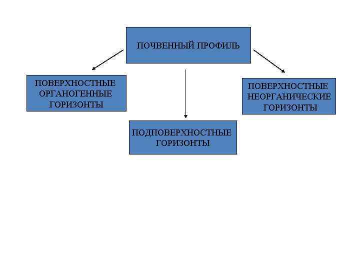 ПОЧВЕННЫЙ ПРОФИЛЬ ПОВЕРХНОСТНЫЕ ОРГАНОГЕННЫЕ ГОРИЗОНТЫ ПОВЕРХНОСТНЫЕ НЕОРГАНИЧЕСКИЕ ГОРИЗОНТЫ ПОДПОВЕРХНОСТНЫЕ ГОРИЗОНТЫ 