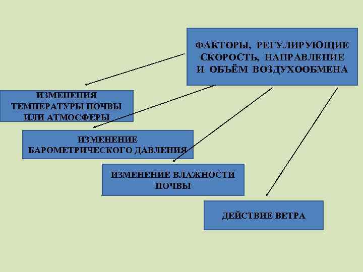 ФАКТОРЫ, РЕГУЛИРУЮЩИЕ СКОРОСТЬ, НАПРАВЛЕНИЕ И ОБЪЁМ ВОЗДУХООБМЕНА ИЗМЕНЕНИЯ ТЕМПЕРАТУРЫ ПОЧВЫ ИЛИ АТМОСФЕРЫ ИЗМЕНЕНИЕ БАРОМЕТРИЧЕСКОГО