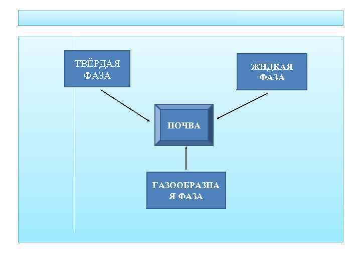 ТВЁРДАЯ ФАЗА ЖИДКАЯ ФАЗА ПОЧВА ГАЗООБРАЗНА Я ФАЗА 