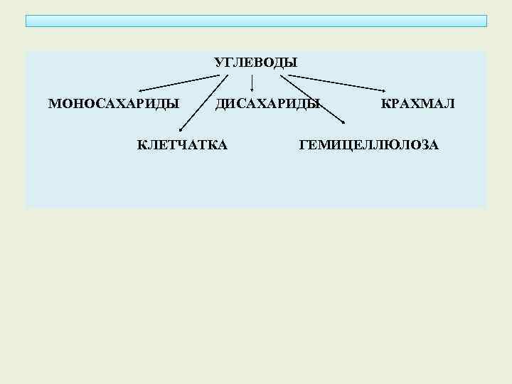 УГЛЕВОДЫ МОНОСАХАРИДЫ ДИСАХАРИДЫ КЛЕТЧАТКА КРАХМАЛ ГЕМИЦЕЛЛЮЛОЗА 