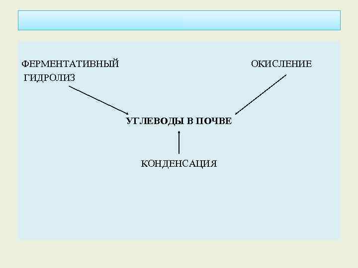 ФЕРМЕНТАТИВНЫЙ ГИДРОЛИЗ ОКИСЛЕНИЕ УГЛЕВОДЫ В ПОЧВЕ КОНДЕНСАЦИЯ 