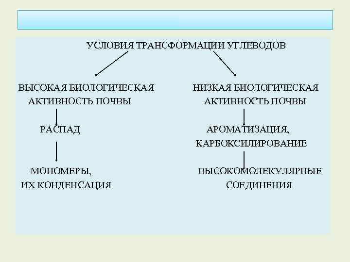 УСЛОВИЯ ТРАНСФОРМАЦИИ УГЛЕВОДОВ ВЫСОКАЯ БИОЛОГИЧЕСКАЯ АКТИВНОСТЬ ПОЧВЫ РАСПАД МОНОМЕРЫ, ИХ КОНДЕНСАЦИЯ НИЗКАЯ БИОЛОГИЧЕСКАЯ АКТИВНОСТЬ