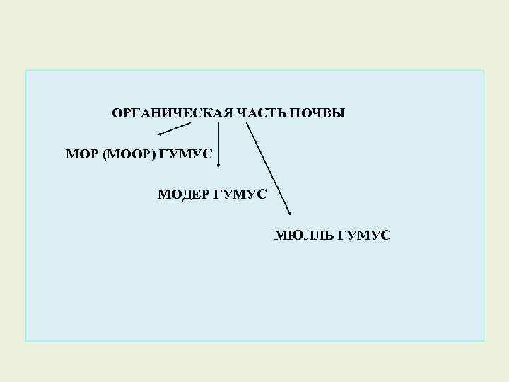 ОРГАНИЧЕСКАЯ ЧАСТЬ ПОЧВЫ МОР (МООР) ГУМУС МОДЕР ГУМУС МЮЛЛЬ ГУМУС 