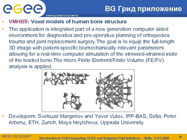 BG Грид приложение Enabling Grids for E-scienc. E • VMHBS: Voxel models of human