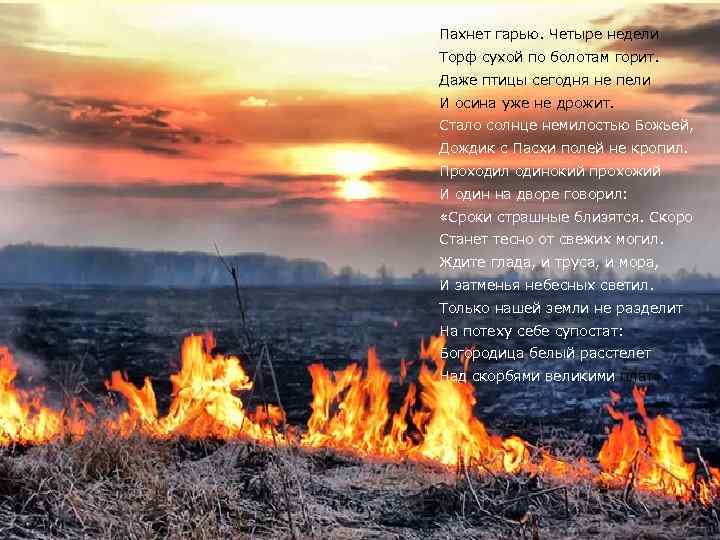 Пахнет гарью. Четыре недели Торф сухой по болотам горит. Даже птицы сегодня не пели