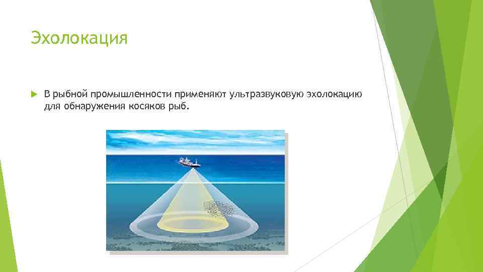 Эхолокация В рыбной промышленности применяют ультразвуковую эхолокацию для обнаружения косяков рыб. 