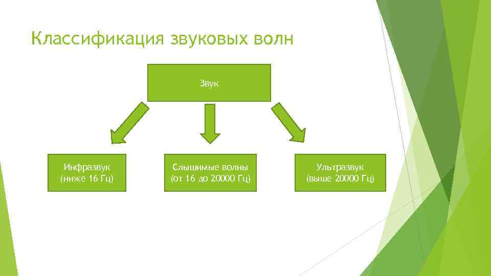 Классификация звуковых волн Звук Инфразвук (ниже 16 Гц) Слышимые волны (от 16 до 20000