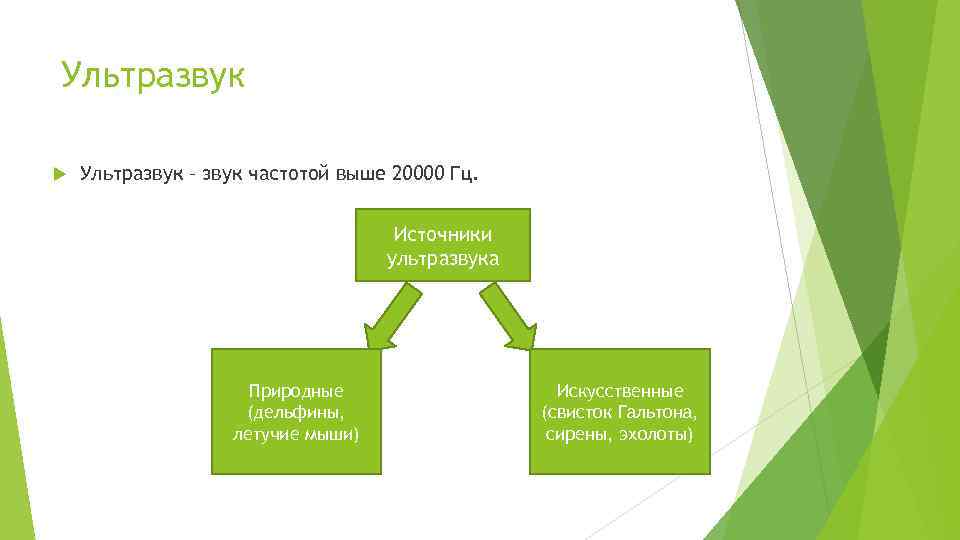Ультразвук – звук частотой выше 20000 Гц. Источники ультразвука Природные (дельфины, летучие мыши) Искусственные