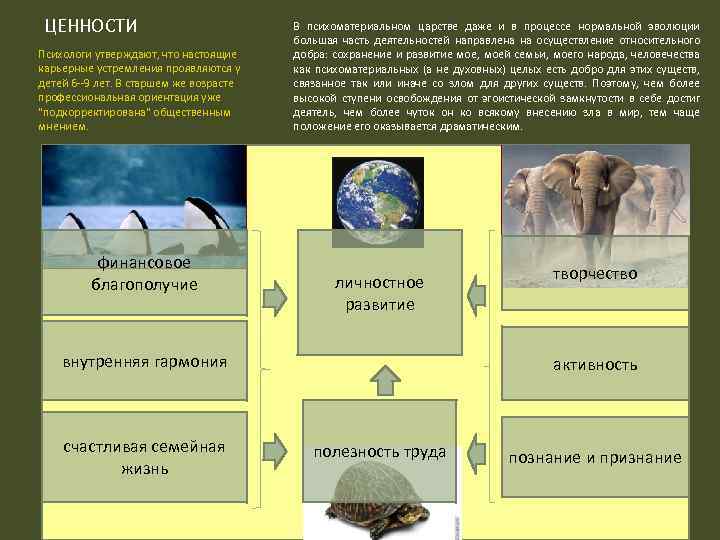 ЦЕННОСТИ Психологи утверждают, что настоящие карьерные устремления проявляются у детей 6 --9 лет. В