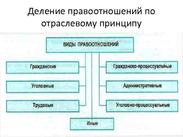 Основания классификации правоотношений