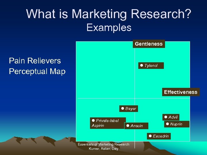 What is Marketing Research? Examples Gentleness Pain Relievers Perceptual Map l Tylenol Effectiveness l