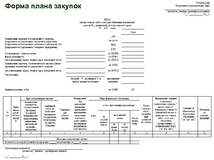 Форма плана закупок 