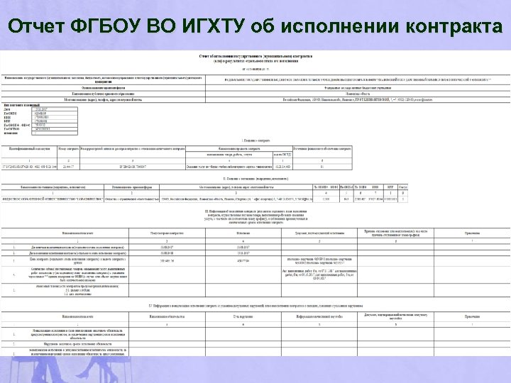Отчет ФГБОУ ВО ИГХТУ об исполнении контракта 