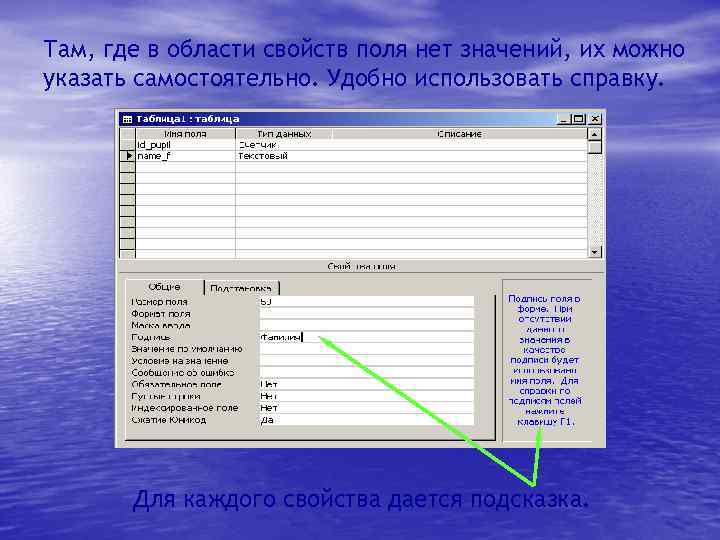 Там, где в области свойств поля нет значений, их можно указать самостоятельно. Удобно использовать