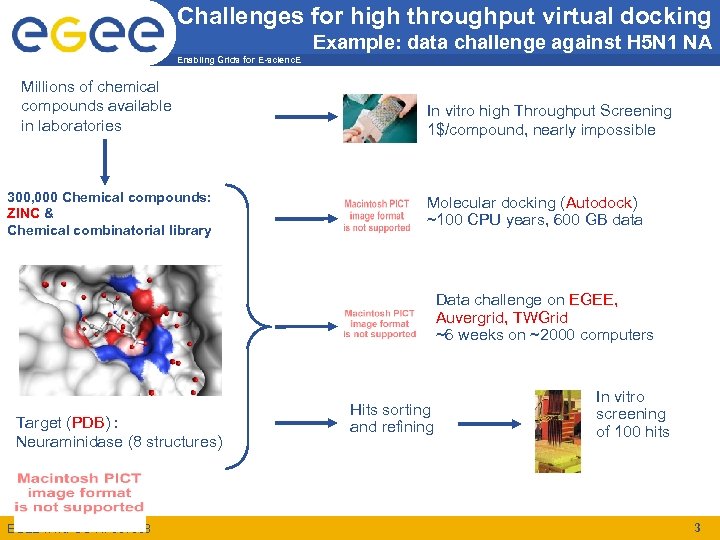 Challenges for high throughput virtual docking Example: data challenge against H 5 N 1