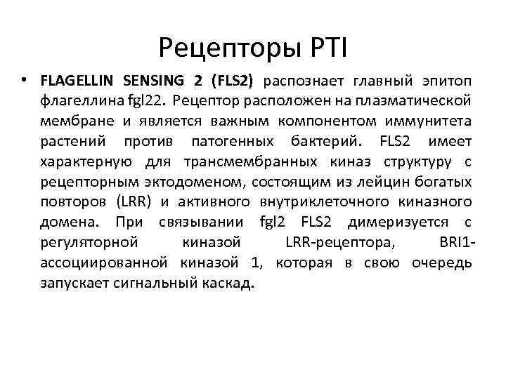 Рецепторы PTI • FLAGELLIN SENSING 2 (FLS 2) распознает главный эпитоп флагеллина fgl 22.