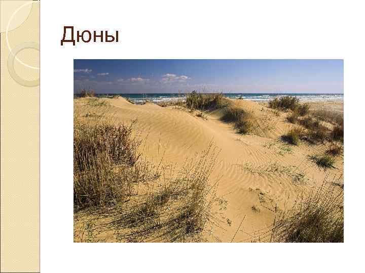 Дюны 
