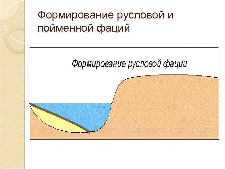Формирование русловой и пойменной фаций 