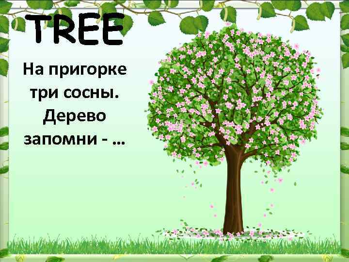 TREE На пригорке три сосны. Дерево запомни - … 