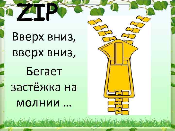 ZIP Вверх вниз, вверх вниз, Бегает застёжка на молнии … 