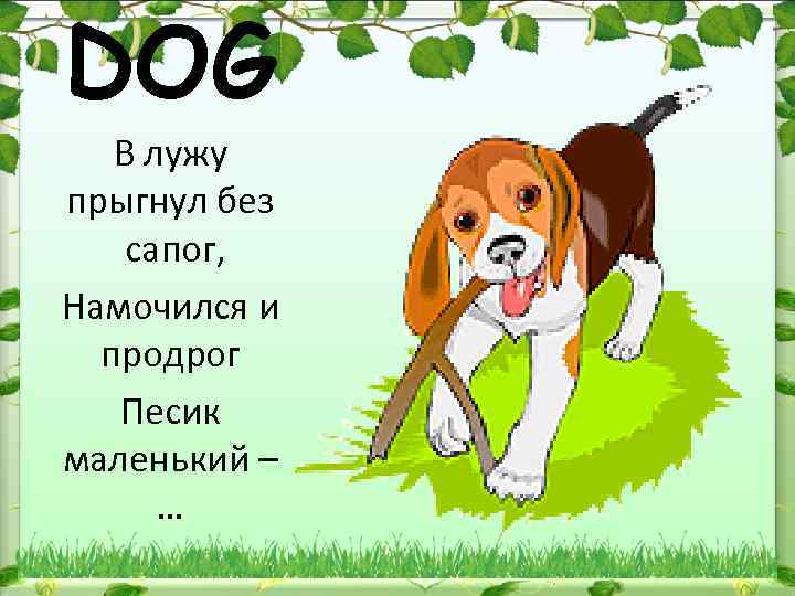 DOG В лужу прыгнул без сапог, Намочился и продрог Песик маленький – … 