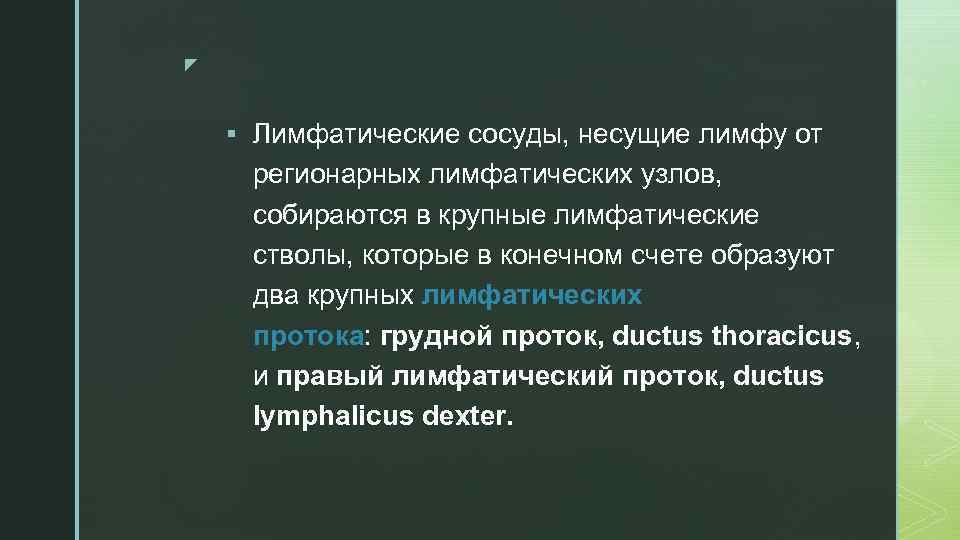 z § Лимфатические сосуды, несущие лимфу от регионарных лимфатических узлов, собираются в крупные лимфатические