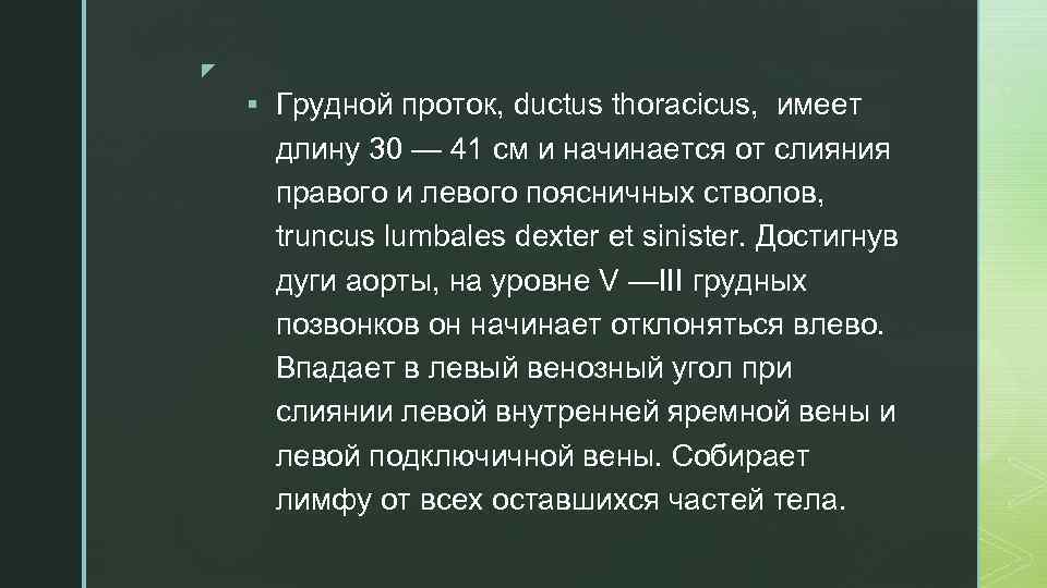 z § Грудной проток, ductus thoracicus, имеет длину 30 — 41 см и начинается