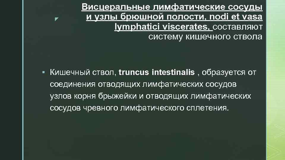 z Висцеральные лимфатические сосуды и узлы брюшной полости, nodi et vasa lymphatici viscerates, составляют