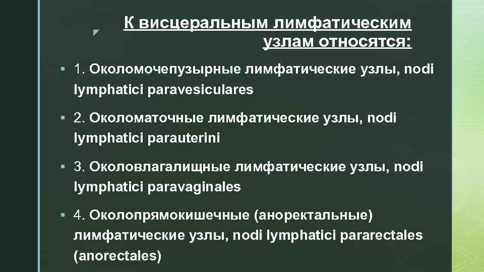 z К висцеральным лимфатическим узлам относятся: § 1. Околомочепузырные лимфатические узлы, nodi lymphatici paravesiculares