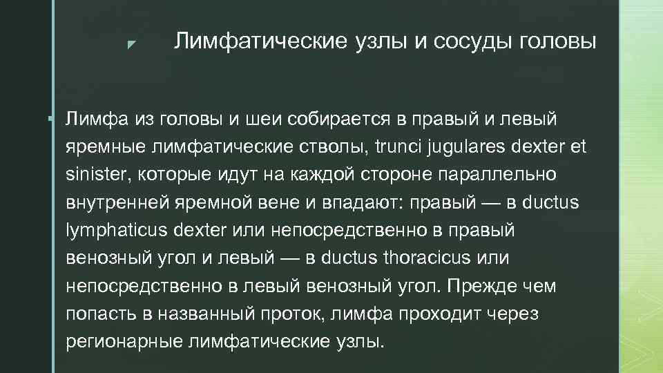 z Лимфатические узлы и сосуды головы § Лимфа из головы и шеи собирается в