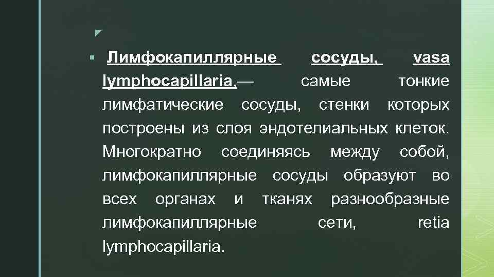 z § Лимфокапиллярные сосуды, vasa lymphocapillaria, — самые тонкие лимфатические сосуды, стенки которых построены
