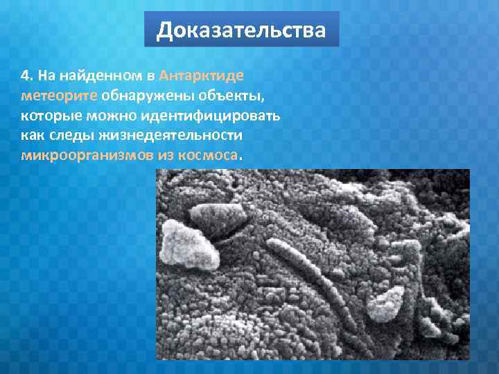 Доказательства 4. На найденном в Антарктиде метеорите обнаружены объекты, которые можно идентифицировать как следы