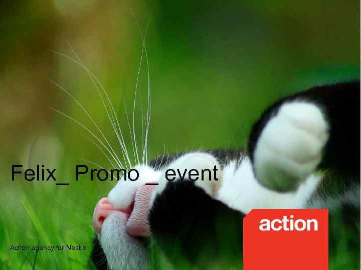 Felix_ Promo _ event Action agency for Nestle 
