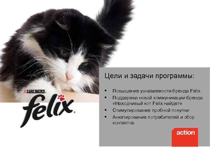 Цели и задачи программы: § § Повышение узнаваемости бренда Felix Поддержка новой коммуникации бренда