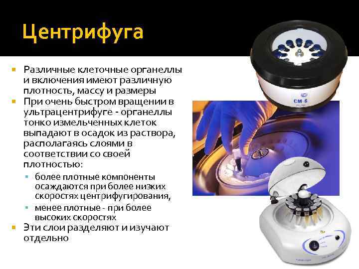 Центрифуга Различные клеточные органеллы и включения имеют различную плотность, массу и размеры При очень