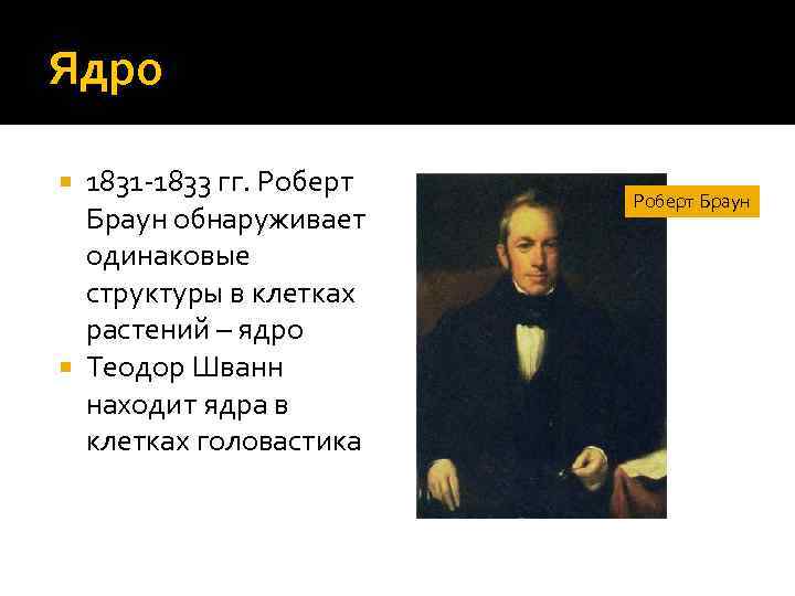 Ядро 1831 -1833 гг. Роберт Браун обнаруживает одинаковые структуры в клетках растений – ядро