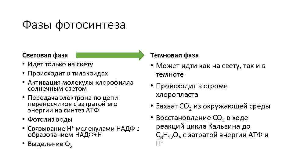 Процессы происходящие в световой фазе фотосинтеза. Световая и темновая фаза фотосинтеза кратко. Фотосинтез темновая фаза и световая фаза кратко. Световая и темновая фаза фотосинтеза таблица 10 класс. Световая фаза фотосинтеза кратко 9 класс.