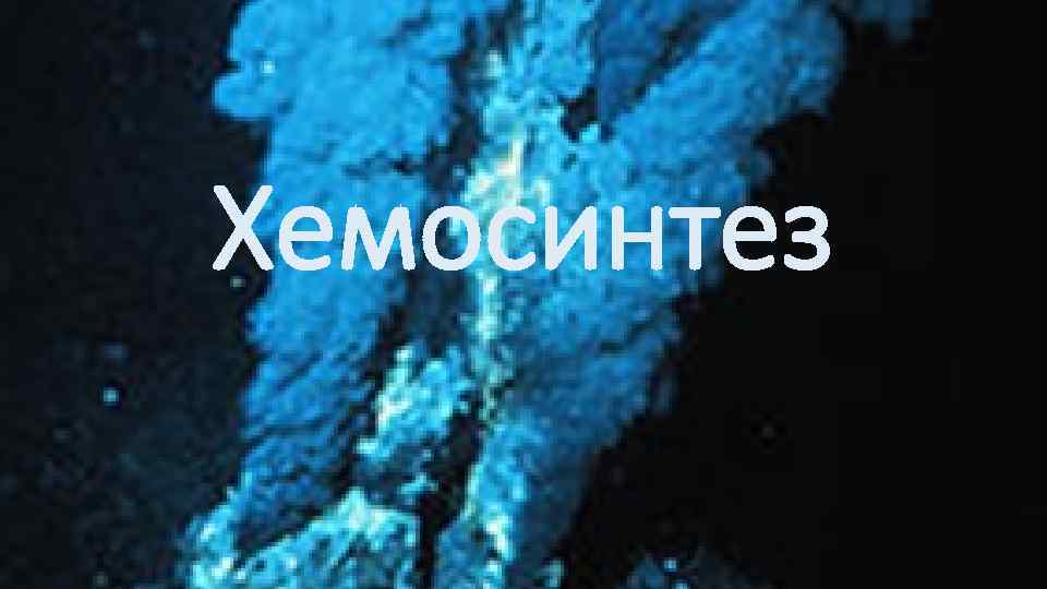 Хемосинтез 