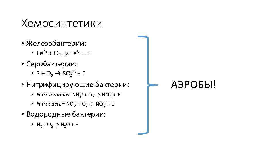 Отличие фотосинтеза от хемосинтеза