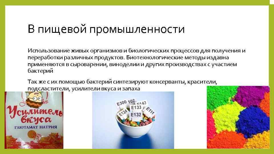 Значение пищевой промышленности. Бактерии в пищевой промышленности. Биотехнологии в пищевой промышленности. Биотехнологии в промышленности. Биотехнологии в пищевой отрасли.