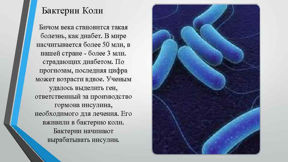Медицинские бактерии