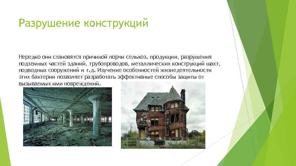 Разрушение конструкций Нередко они становятся причиной порчи сельхоз. продукции, разрушения подземных частей зданий, трубопроводов,