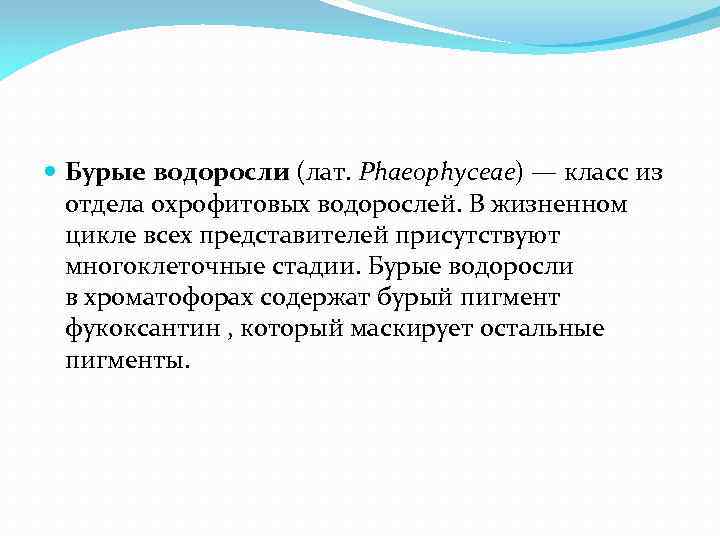  Бурые водоросли (лат. Phaeophyceae) — класс из отдела охрофитовых водорослей. В жизненном цикле