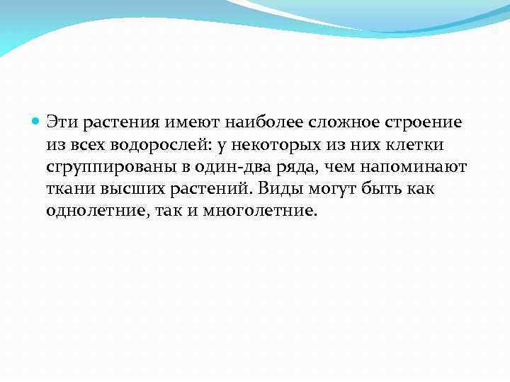  Эти растения имеют наиболее сложное строение из всех водорослей: у некоторых из них