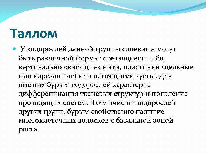 Таллом У водорослей данной группы слоевища могут быть различной формы: стелющиеся либо вертикально «висящие»